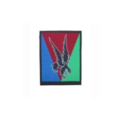 10e DIVISION PARACHUTISTE