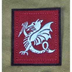 INSIGNE DE MANCHE PARACHUTISTES COLONIAUX