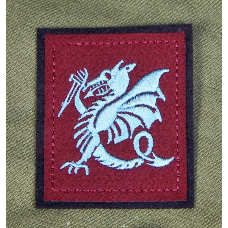 INSIGNE DE MANCHE PARACHUTISTES COLONIAUX 1 INSIGNE DE MANCHE PARACHUTISTES COLONIAUX