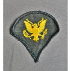 INSIGNE SPECIALIST (la Paire)