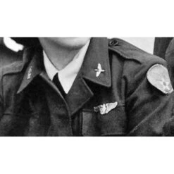 INSIGNE WASP - Women Airforce Sercice Pilots -Fournitures Militaires insigne wasp women airforce sercice pilots 2