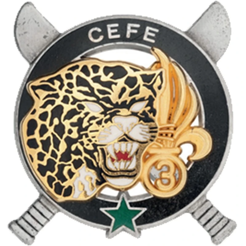 INSTRUCTEUR CEFE 1 INSTRUCTEUR CEFE