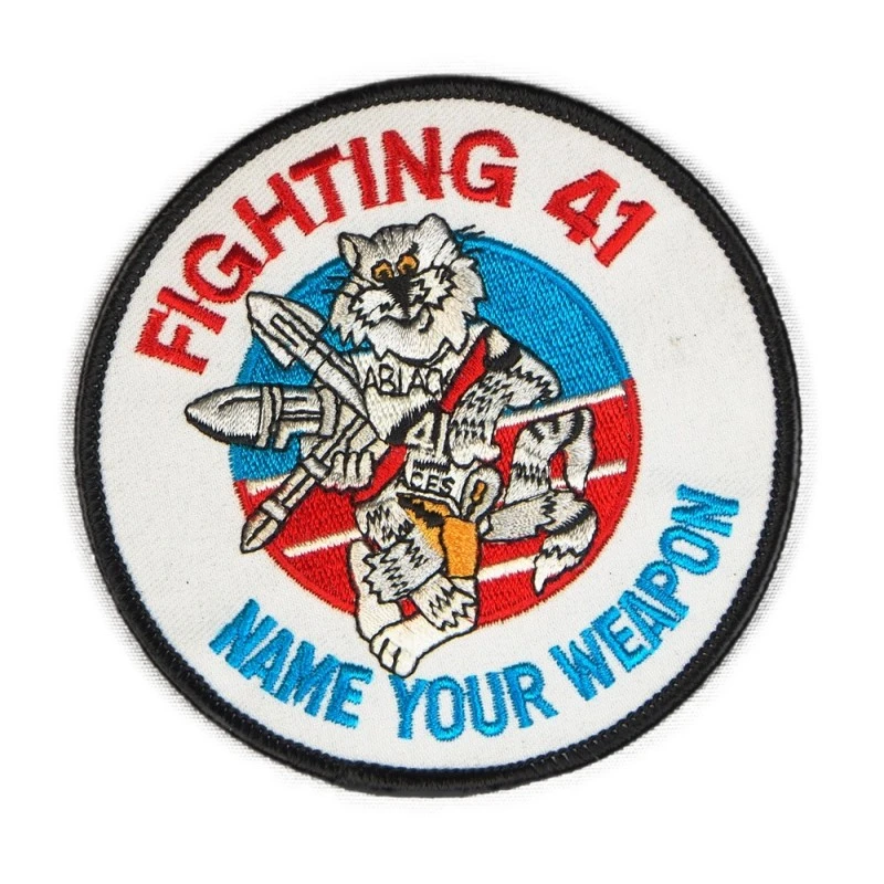 TOMCAT FIGHTING 41 1 TOMCAT FIGHTING 41